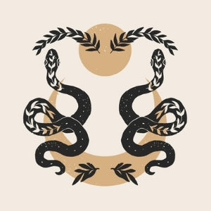 gemini zodiac sign