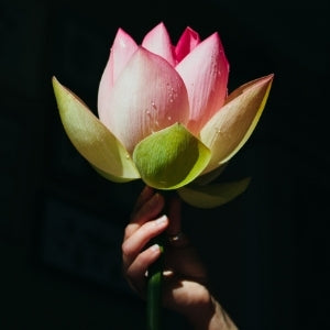 Crown Chakra - The Full Guide