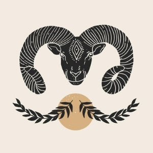 aries zodiac sign