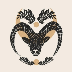 capricorn zodiac sign