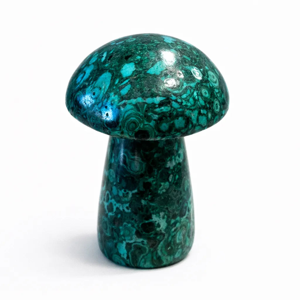 Heart Healing Malachite Mushroom – Embrace Transformation