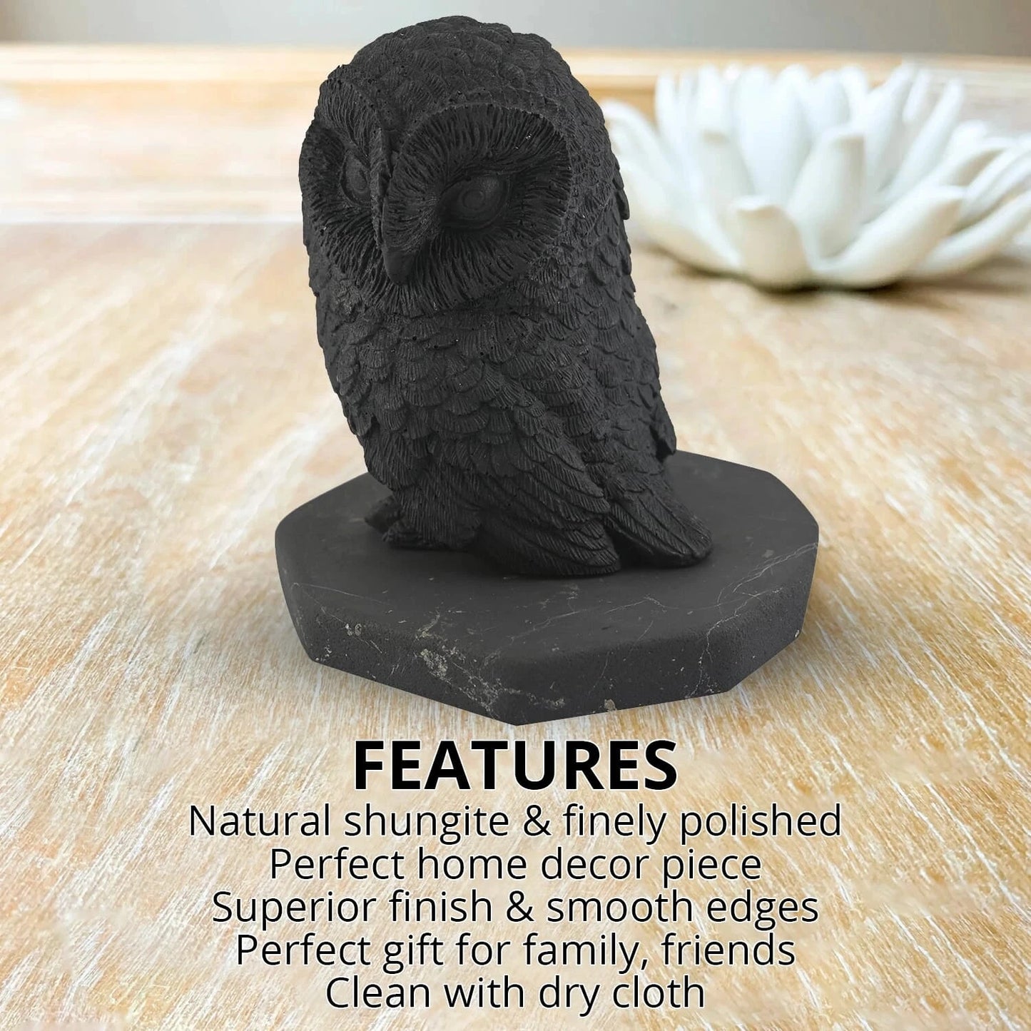 Natural Shungite Owl – Spiritual Guardian for Mindful Spaces