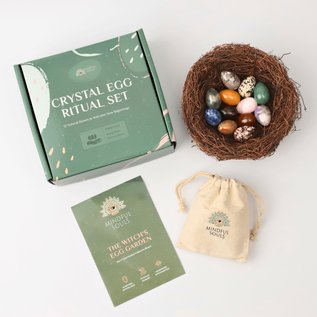 Spring Renewal Kit