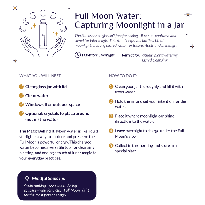 Digital Lunar Guide 2025|