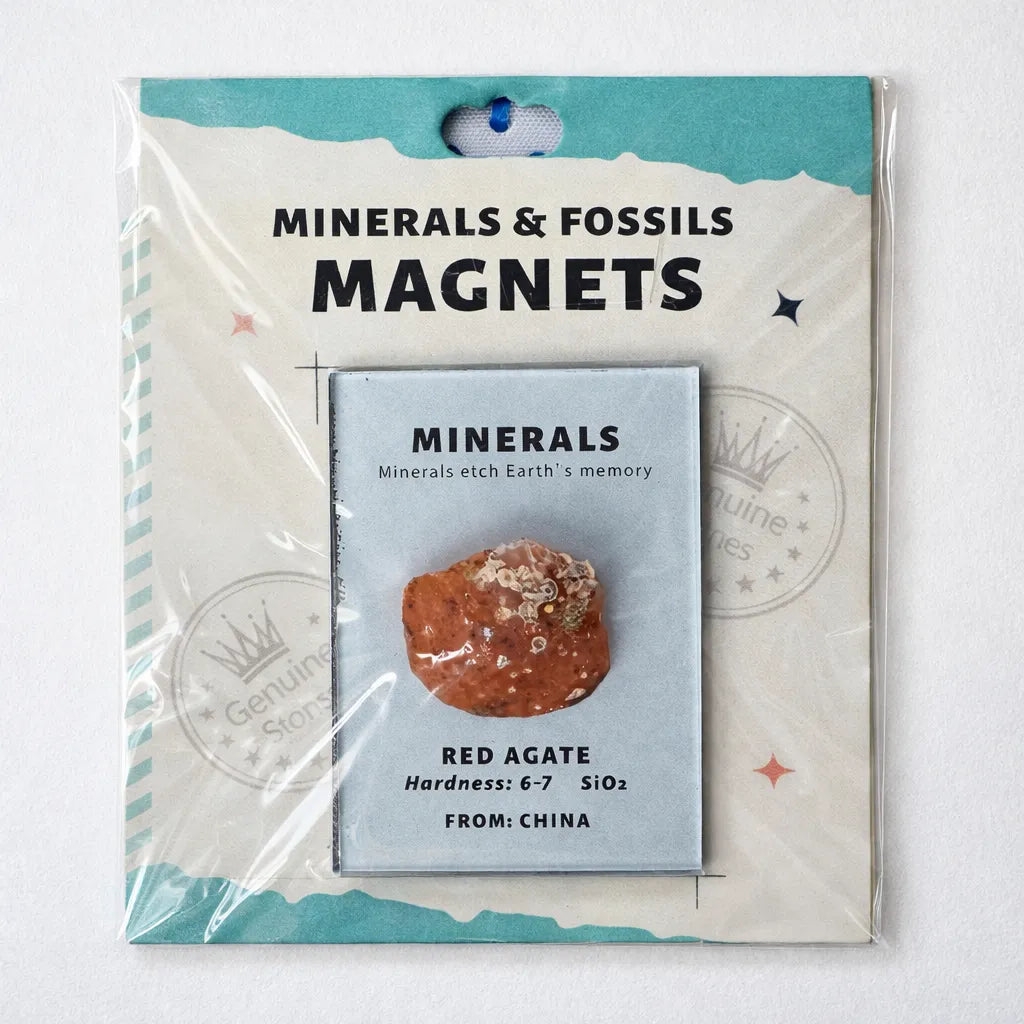 Everyday Intention Crystal Energy Magnet Collection