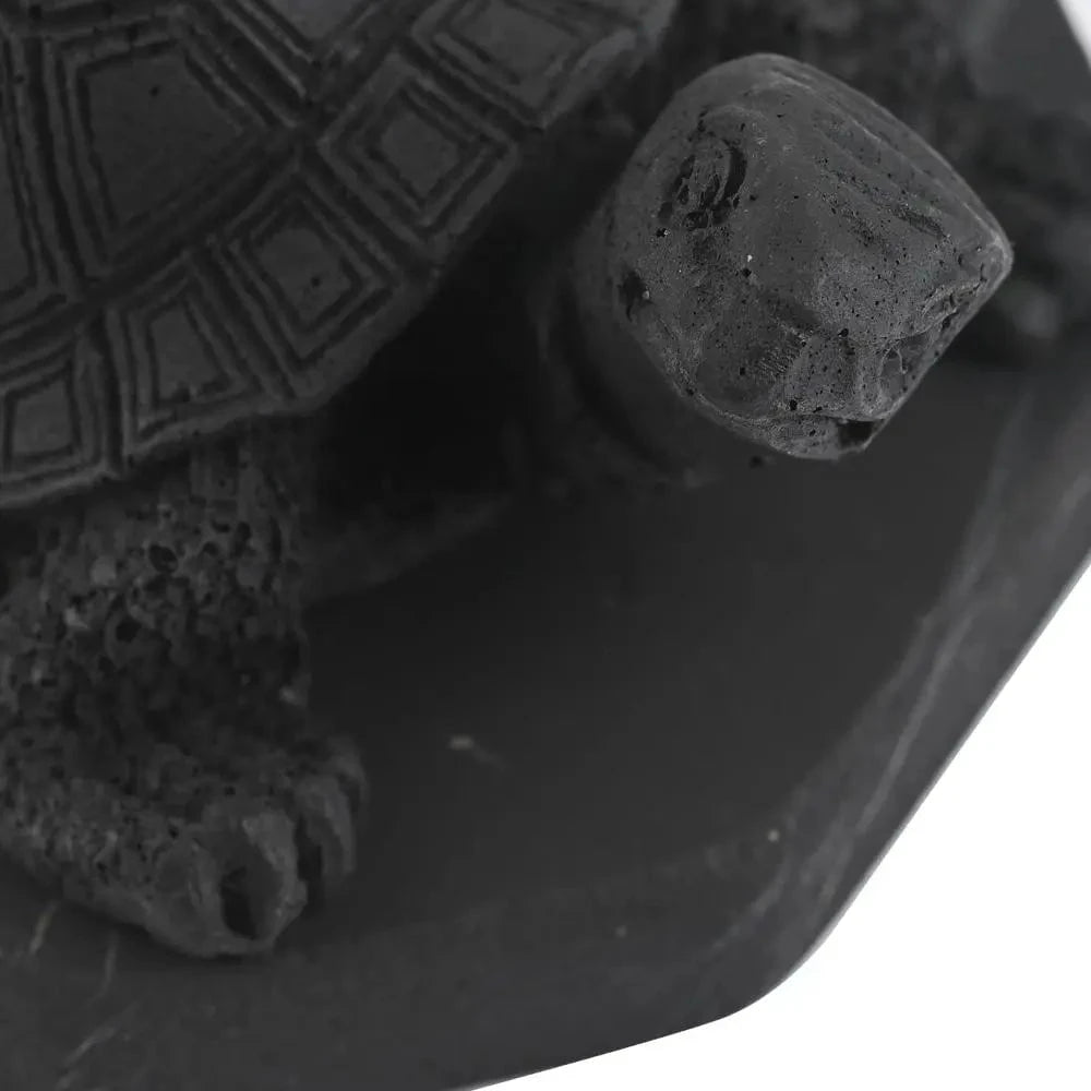 Shungite Turtle Figurine – Ancient Protection for Modern Spaces