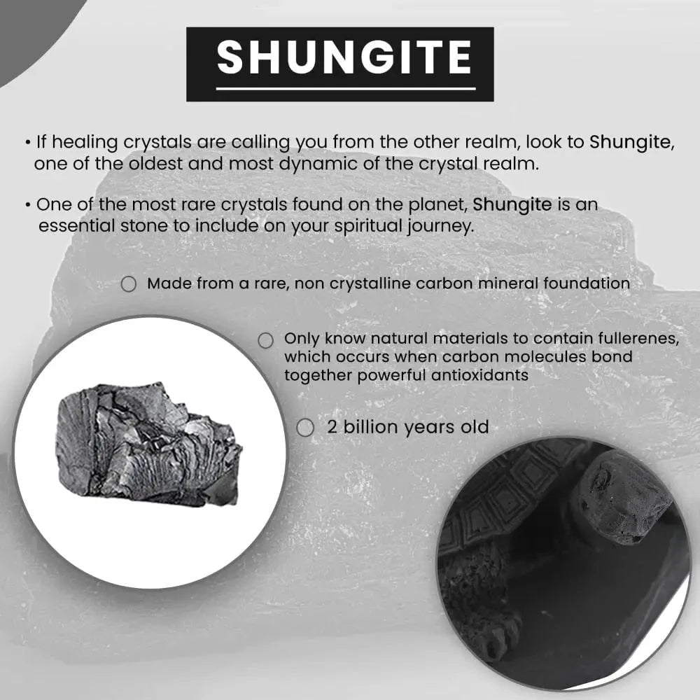 Shungite Turtle Figurine – Ancient Protection for Modern Spaces