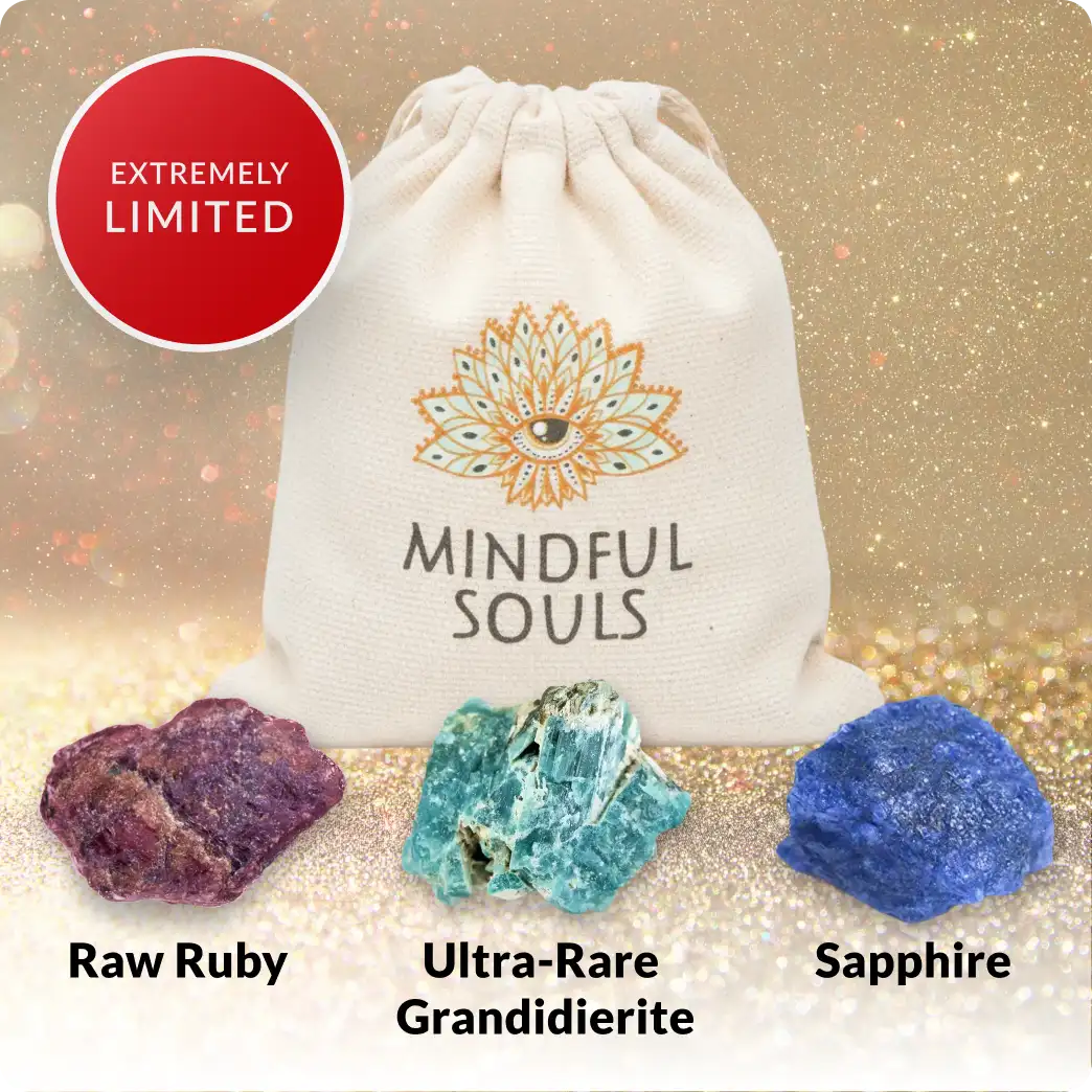 Limited Edition Holiday Crystal Bag