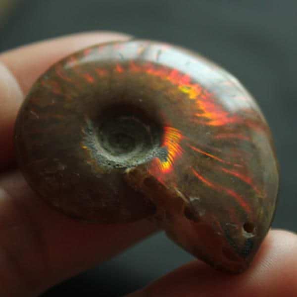 Call Of The Sea Necklace