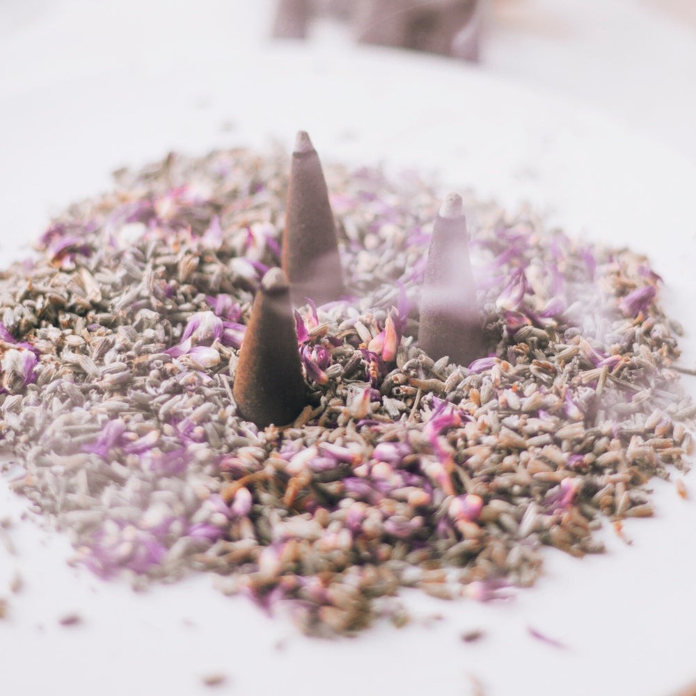 Sac Lavender Cones