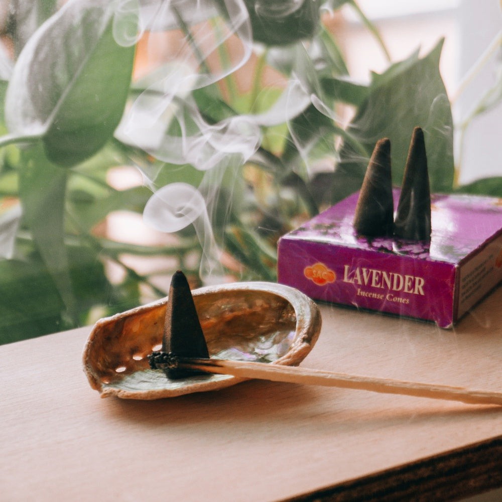 Sac Lavender Cones