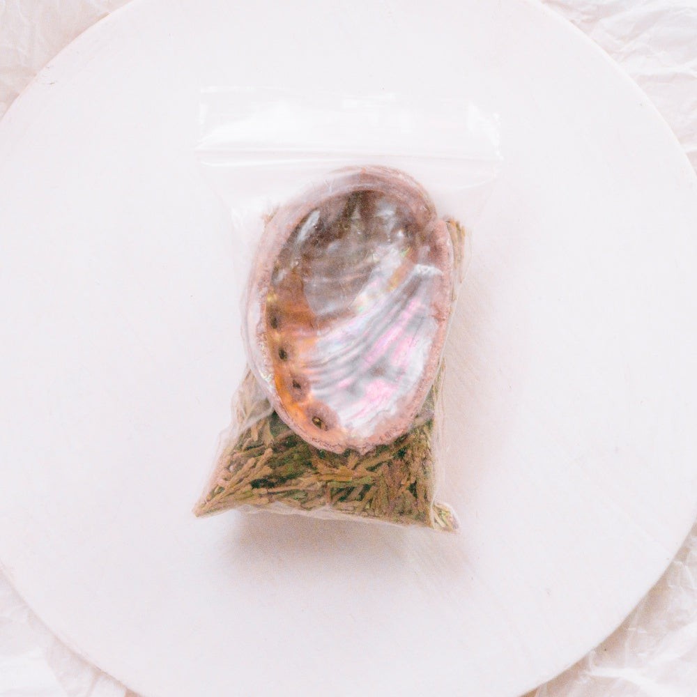 Cedar Leaves with Mini Abalone Shell