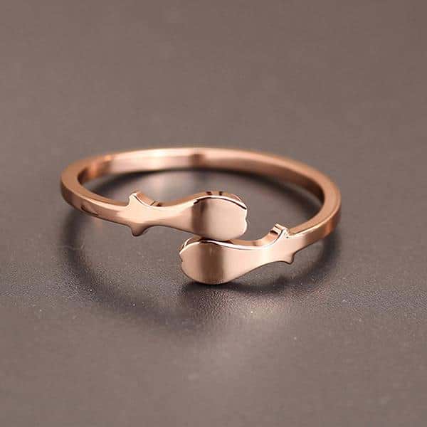 Gold Titanium Zodiac Ring