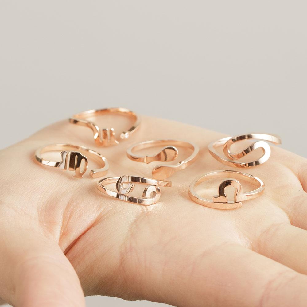 Gold Titanium Zodiac Ring