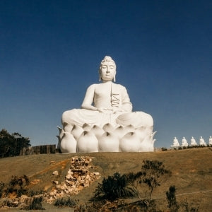 Most Inspiring Spiritual Growth Quotes: The Ultimate Top 10!