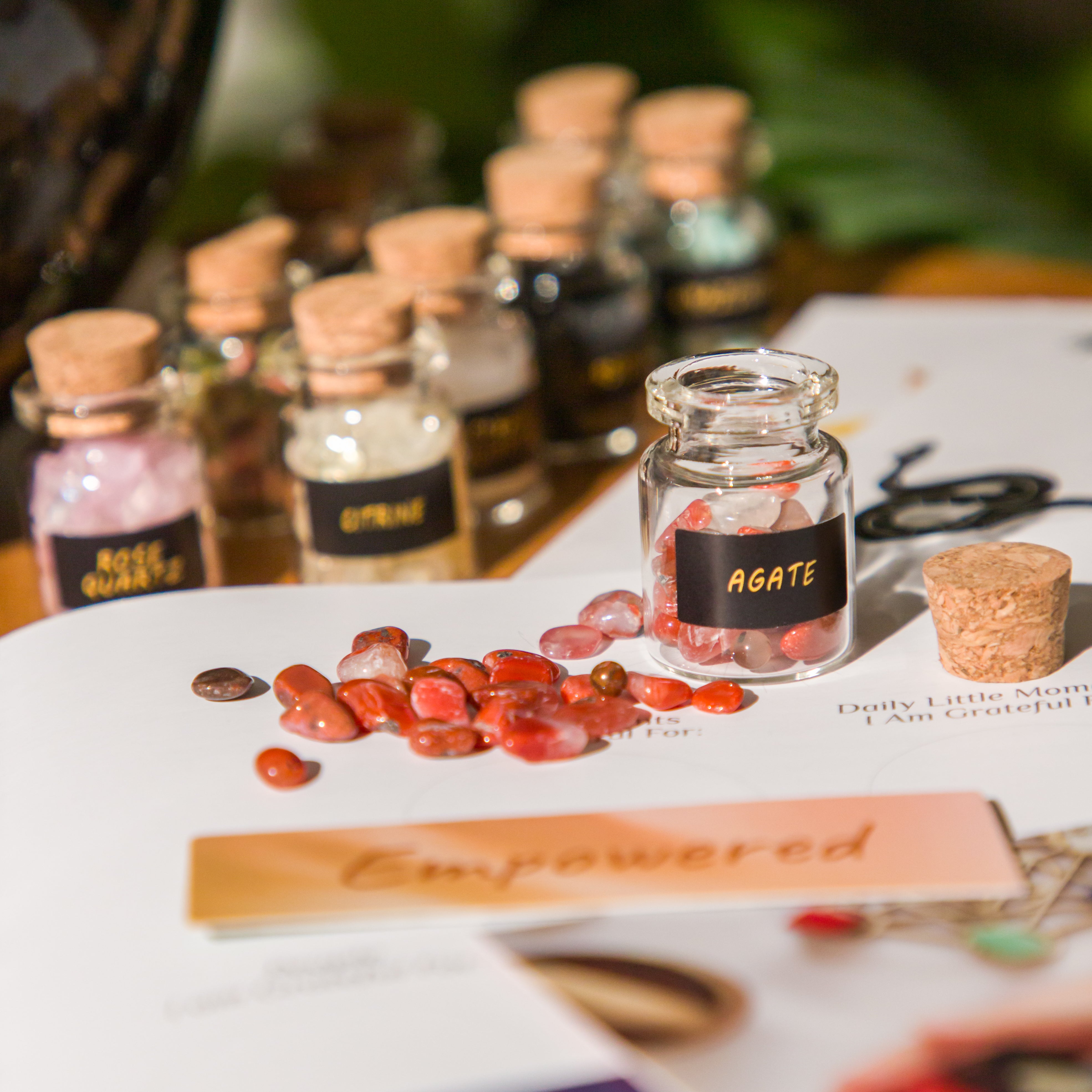 First Altar Crystal Set + FREE Mindful Crystal Grid Guide eBook