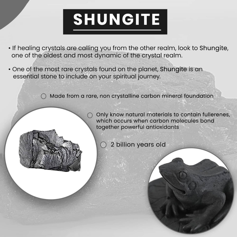 Shungite Stone Frog Figurine