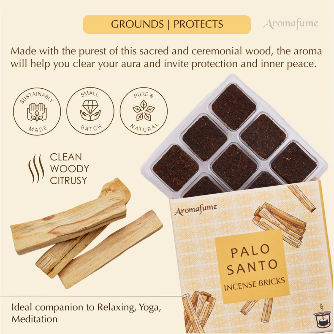 Palo Santo Incense Bricks and Burner Set – MindfulSouls