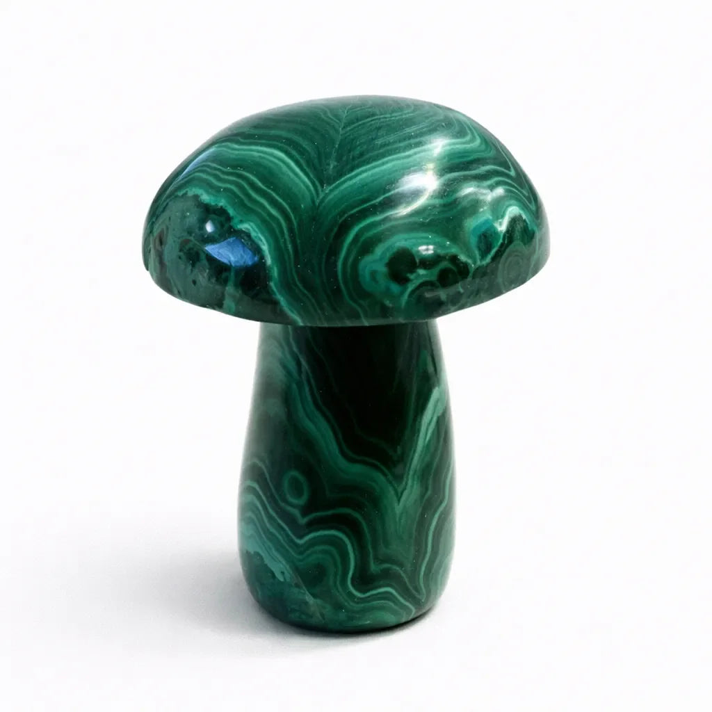 Heart Healing Malachite Mushroom – Embrace Transformation