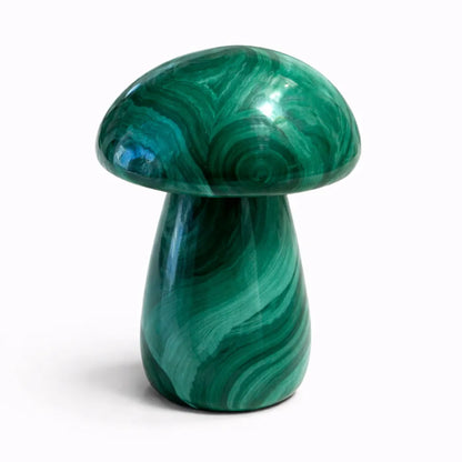 Heart Healing Malachite Mushroom – Embrace Transformation