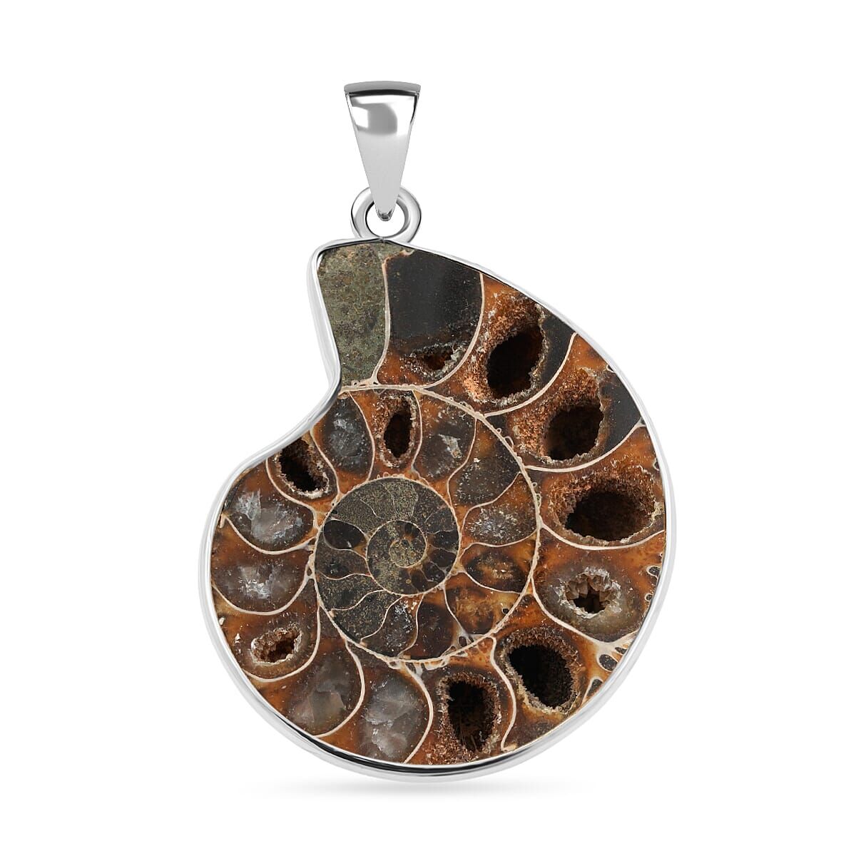 Ammonite Fossil Pendant – Spiral of Time