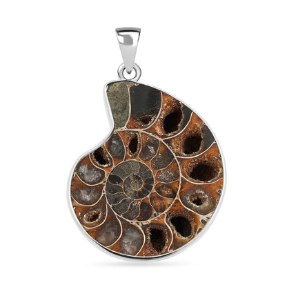 Ammonite Fossil Pendant – Spiral of Time