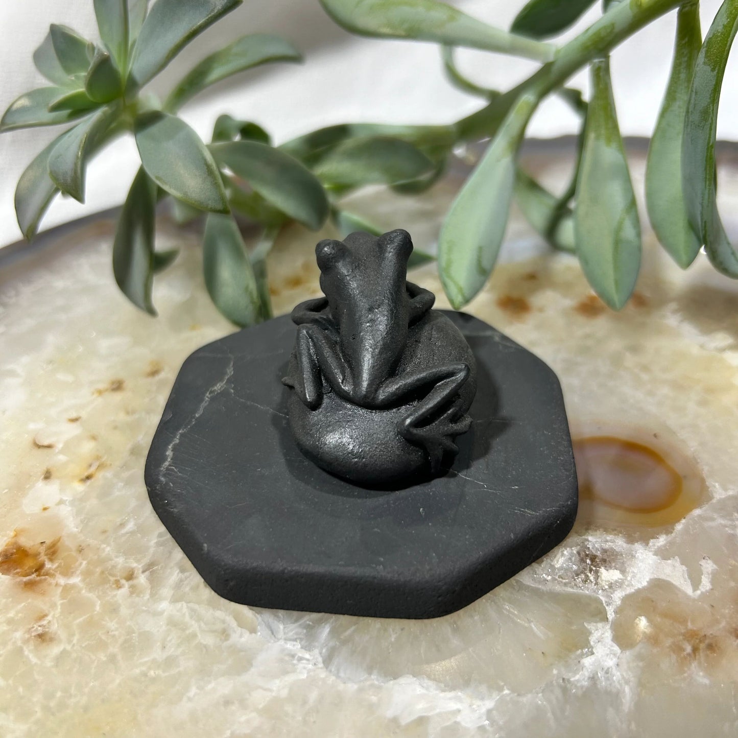 Shungite Frog Figurine on Pebble Base