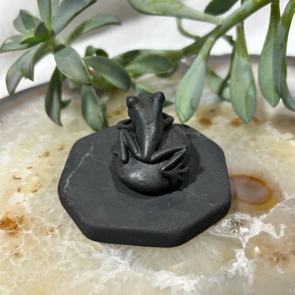 Shungite Frog Figurine on Pebble Base