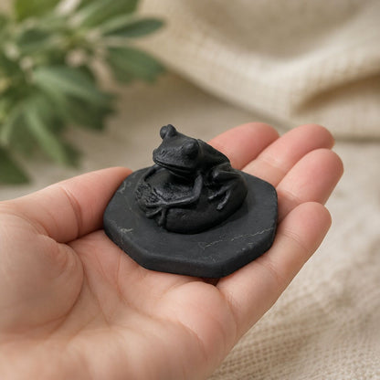 Shungite Frog Figurine on Pebble Base