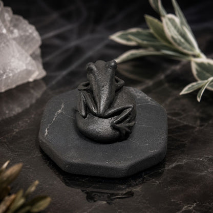Shungite Frog Figurine on Pebble Base