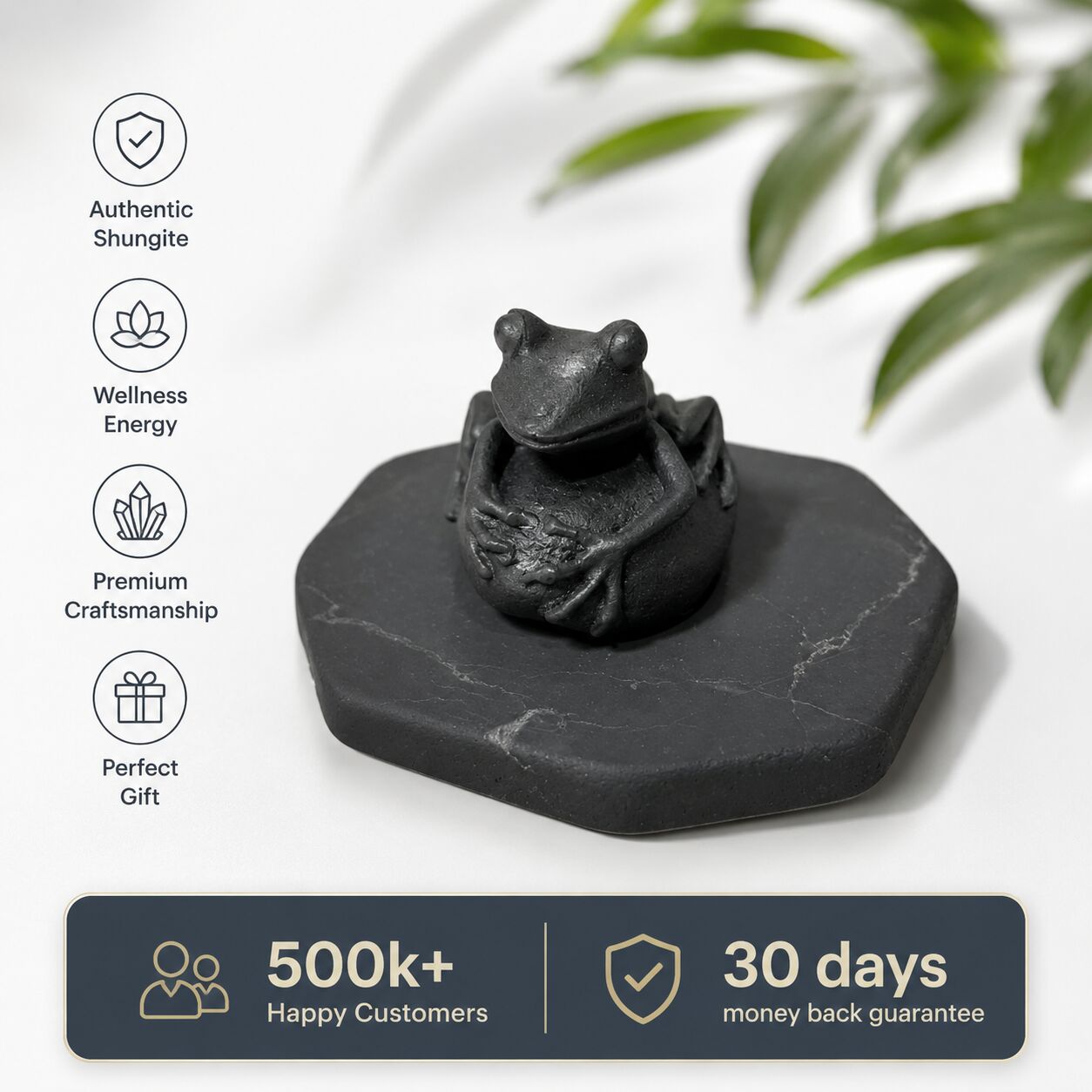 Shungite Frog Figurine on Pebble Base