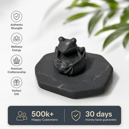 Shungite Frog Figurine on Pebble Base