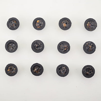 Money Drawing Resin Incense Cups – For Manifestation Ritual