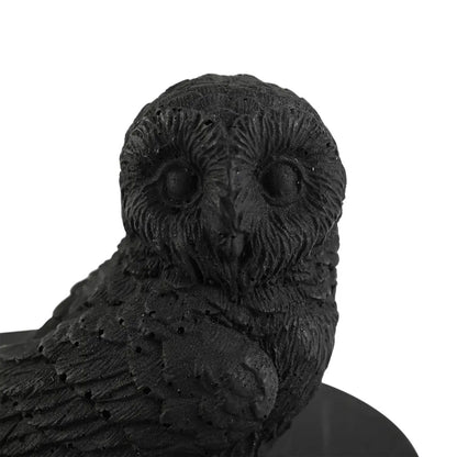 Shungite Owl Figurine – Ancient Wisdom for Modern Life