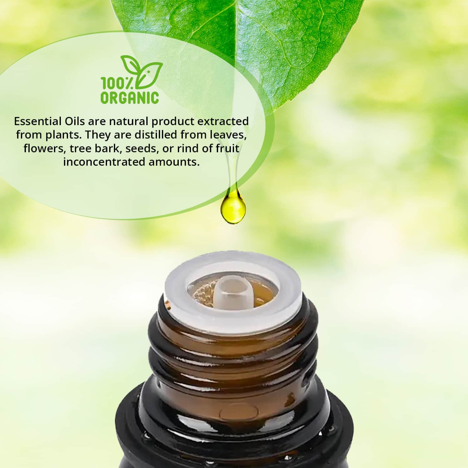 Blissful & Organic Essential Oils Set