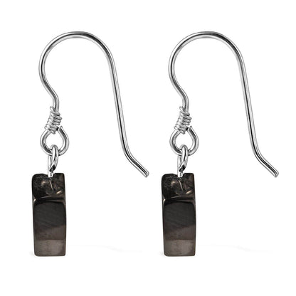 Shungite Dangle Earrings