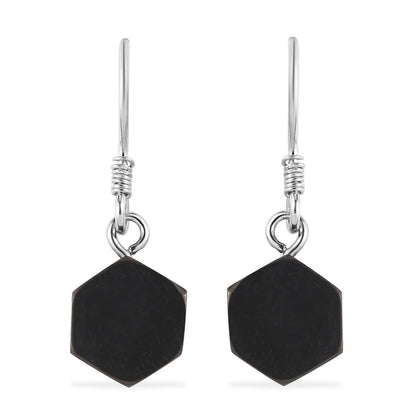 Shungite Dangle Earrings