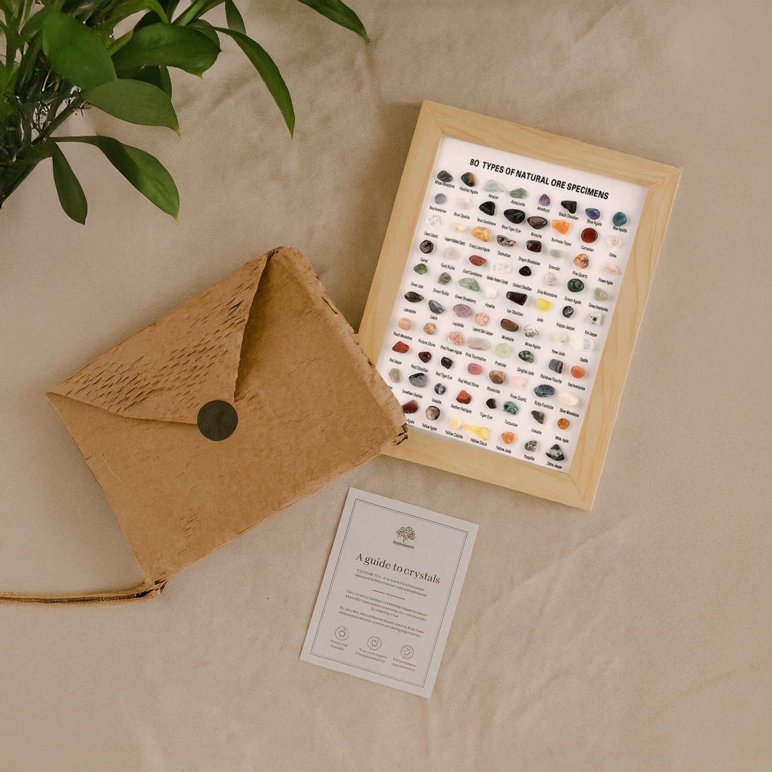 Crystal Collector’s Kit –  80-Piece Educational Display Kit