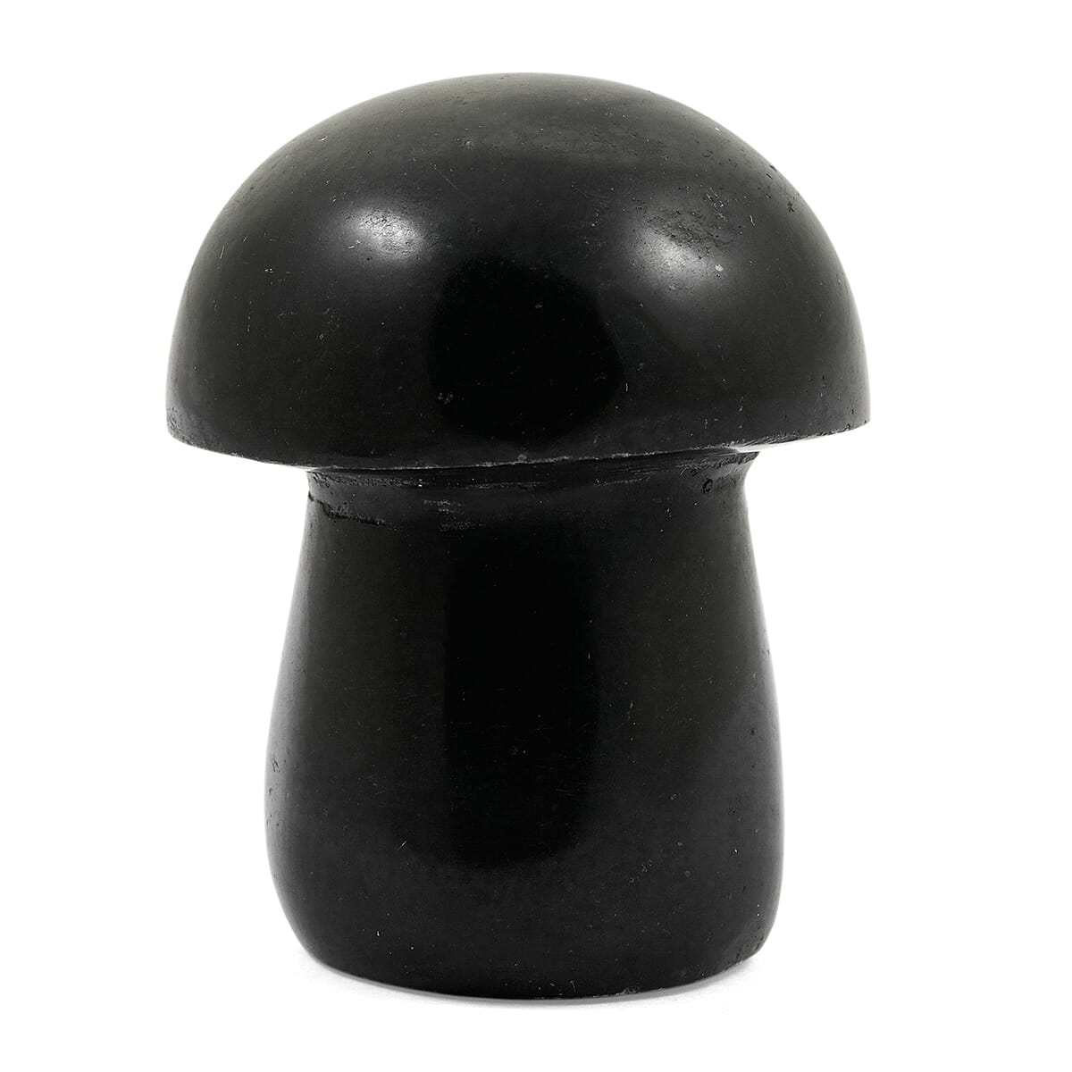 Basalt Mushroom – A Symbol of Resilience and Grounded Strength
