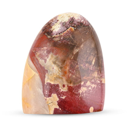 Petrified Wood Freeform – Ancient Grounding Energy