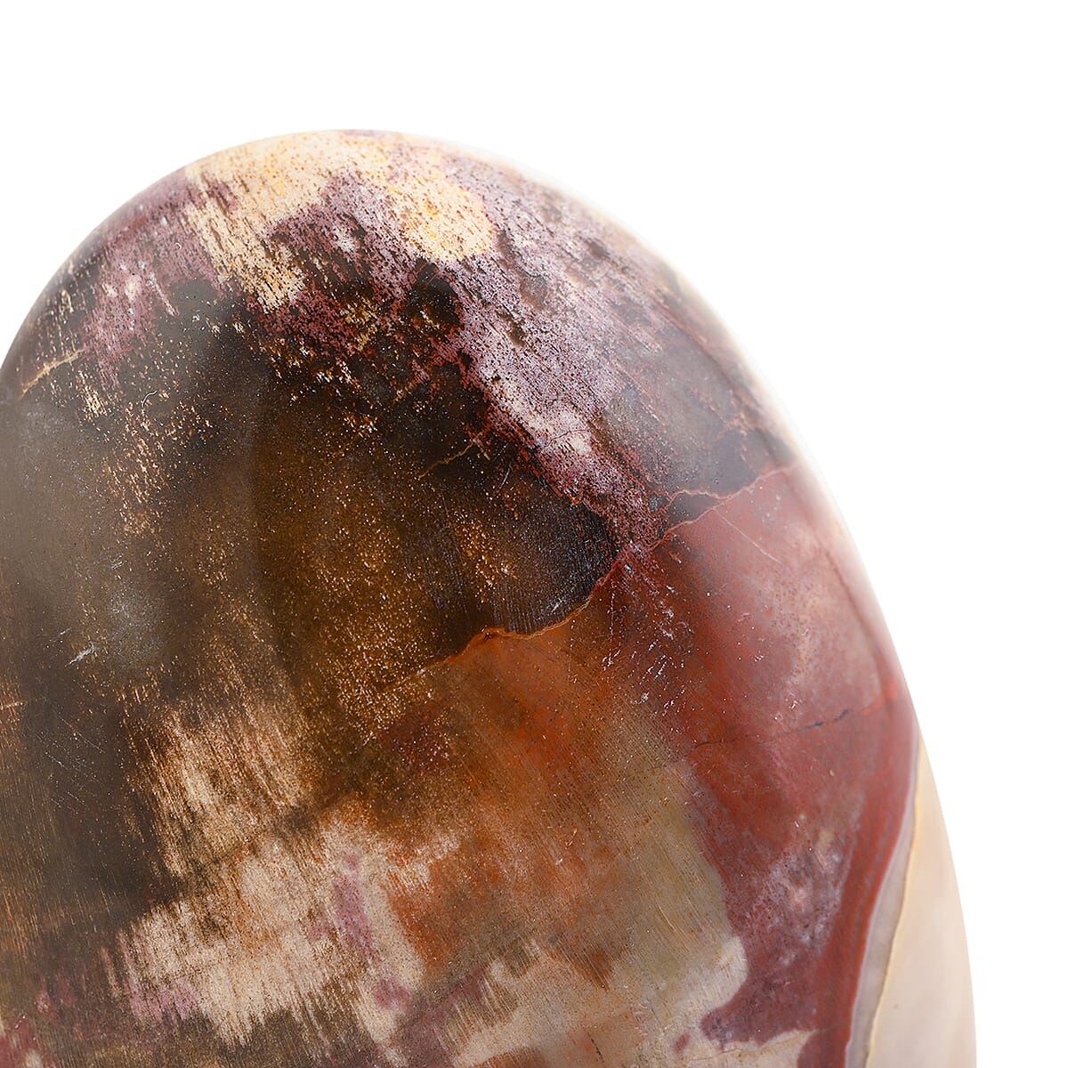 Petrified Wood Freeform – Ancient Grounding Energy