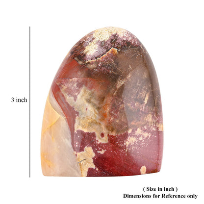 Petrified Wood Freeform – Ancient Grounding Energy