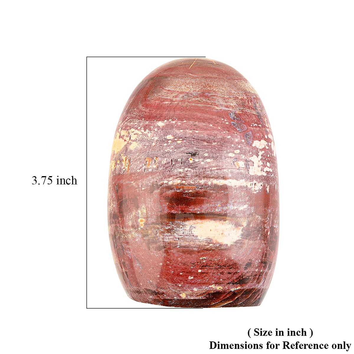 Petrified Wood Freeform – Ancient Grounding Energy