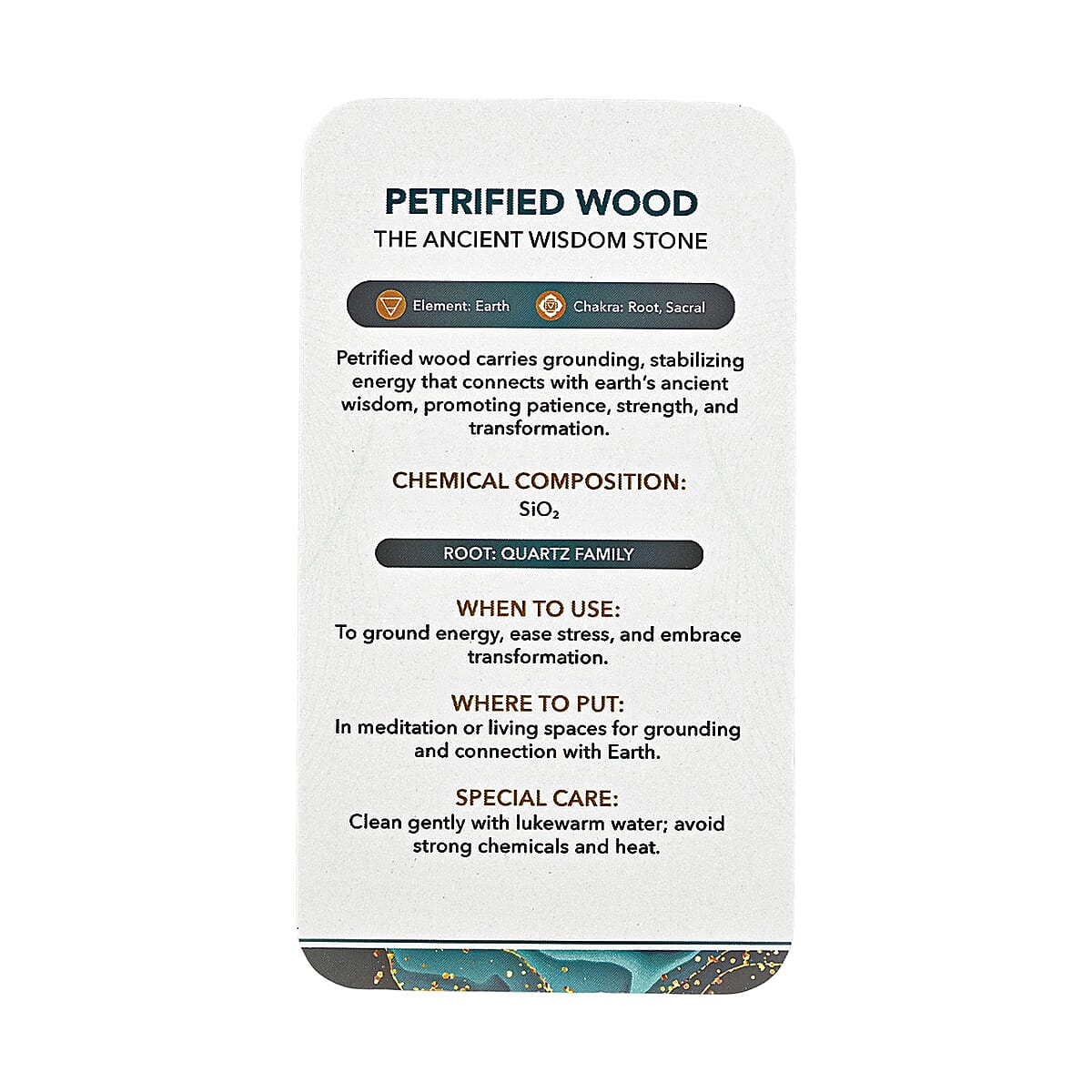 Petrified Wood Freeform – Ancient Grounding Energy