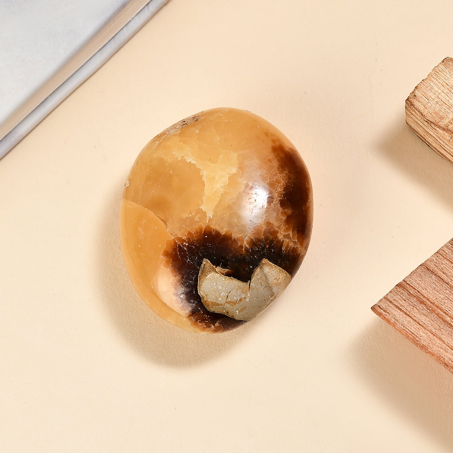 Septaria Palm — Grounding and Emotional Healing