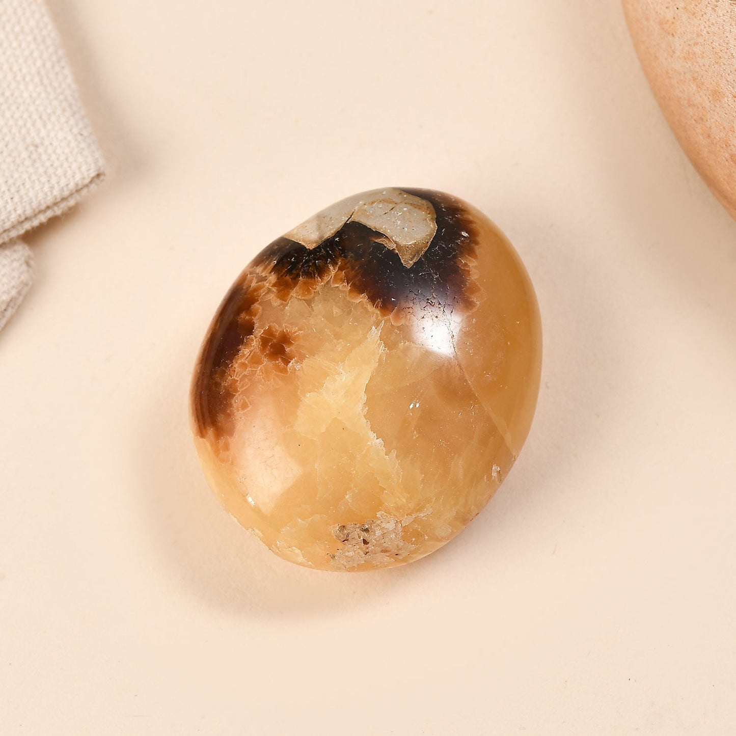 Septaria Palm — Grounding and Emotional Healing