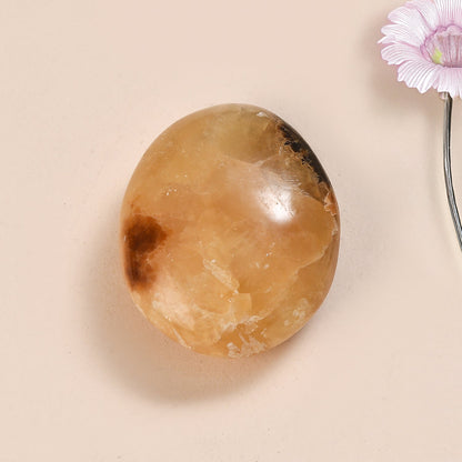 Septaria Palm — Grounding and Emotional Healing