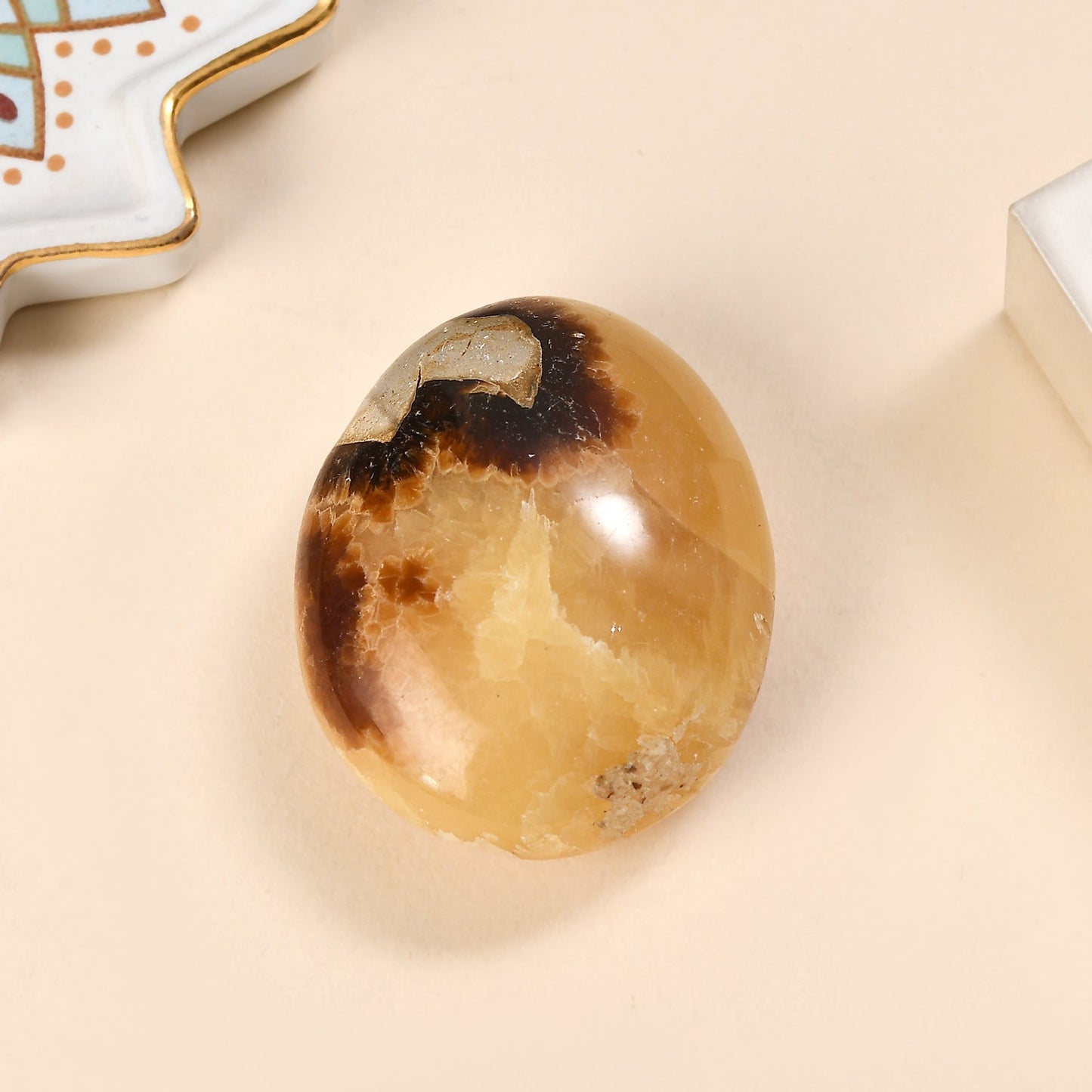 Septaria Palm — Grounding and Emotional Healing