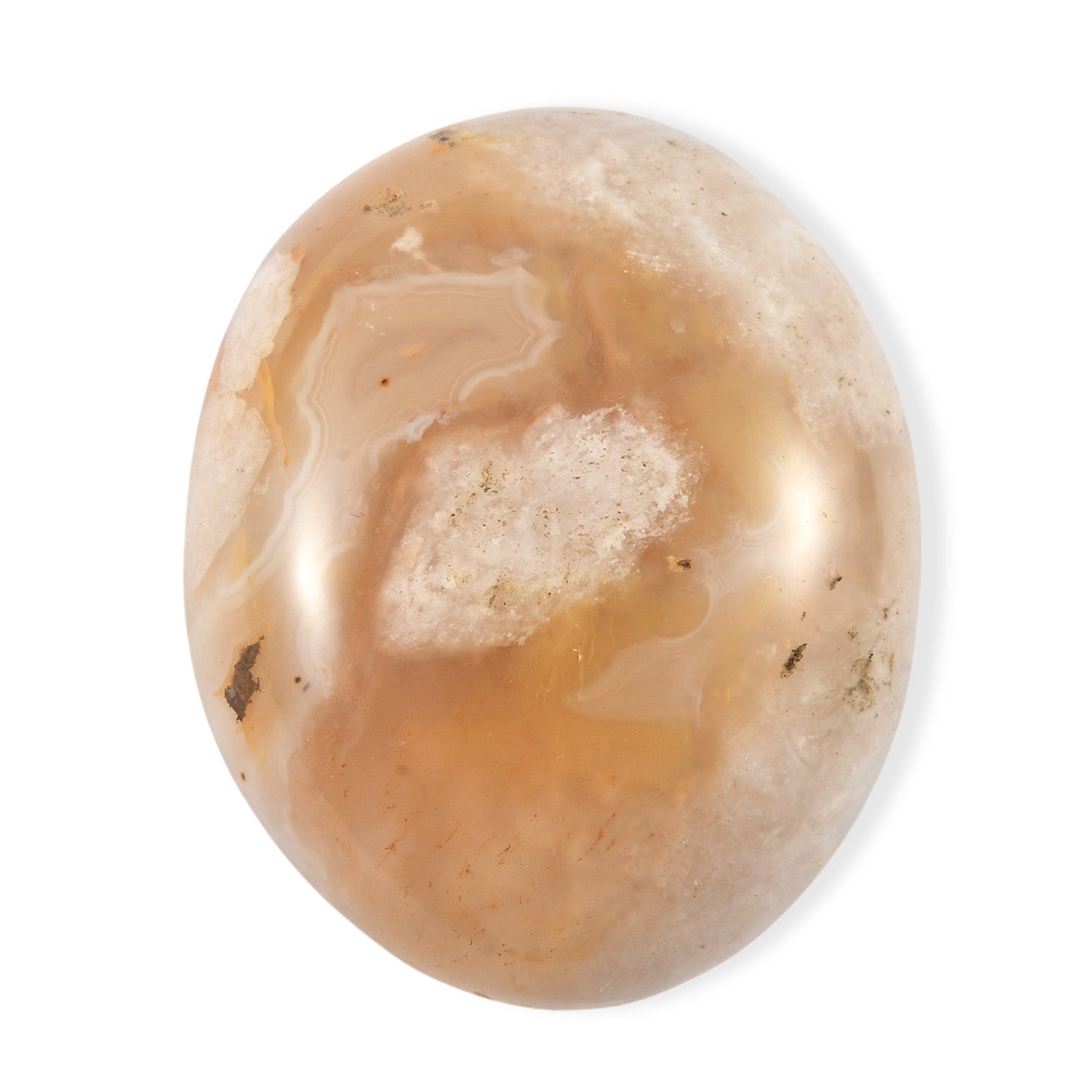 Agate Palm — Grounding and Emotional Healing