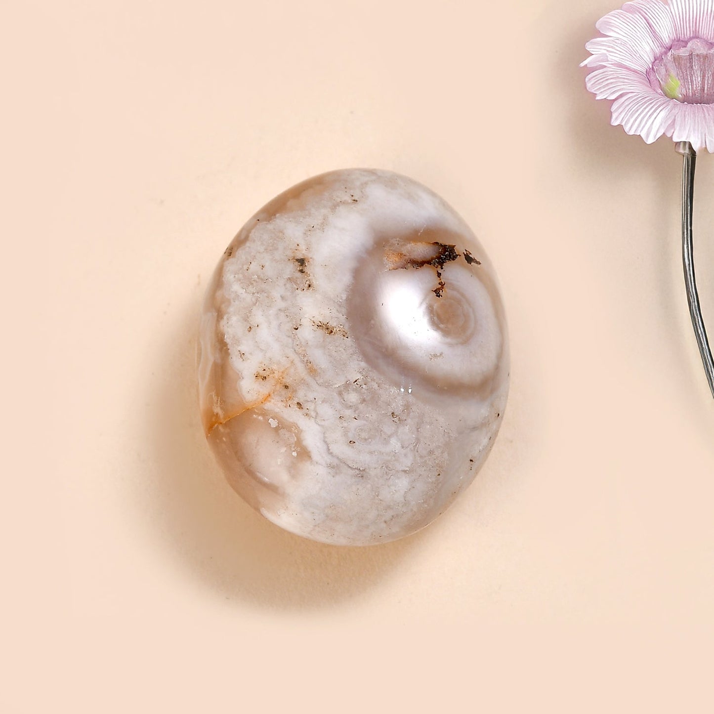 Agate Palm — Grounding and Emotional Healing